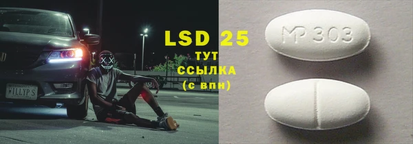 прущие грибы Дмитриев