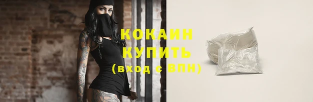 индика Дмитров